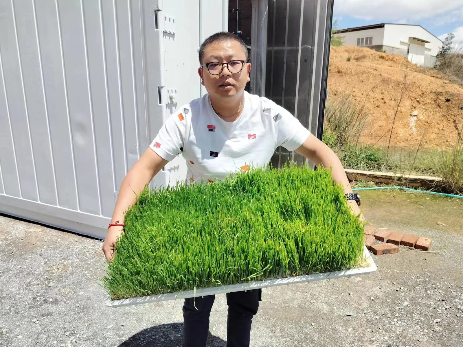 水培鲜牧草课题