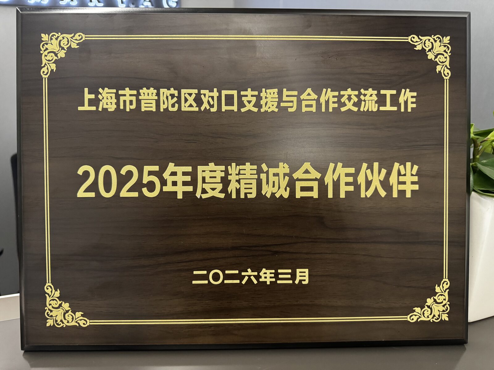 上海市普陀区对口支援与合作交流工作2025年度精诚合作伙伴