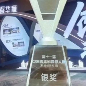 普陀团区委推报的项目在中国青年创青春大赛决赛中喜获银奖