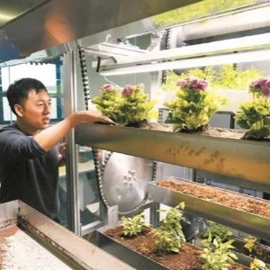 墨泉生物：上海也可种出云南海拔2000米地区才能生长的中药材